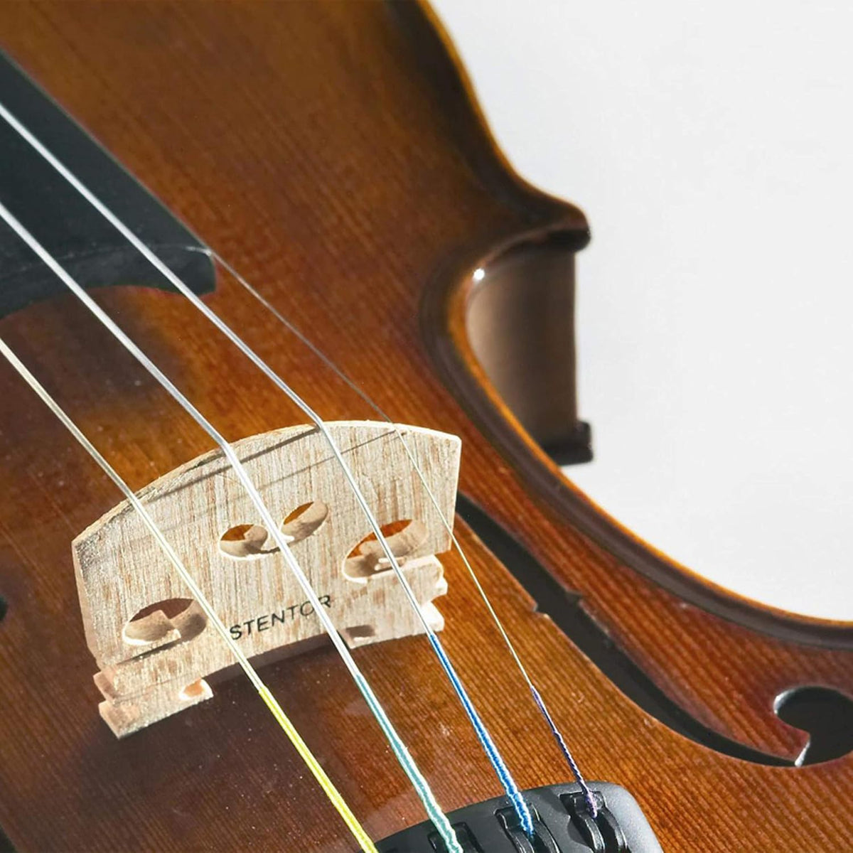 1500 4/4 Violin | 0