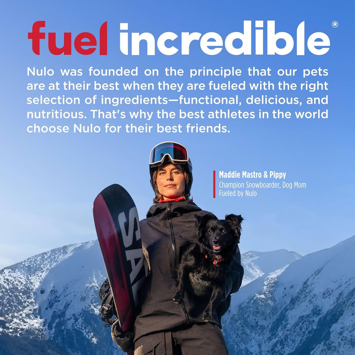 Frontrunner Dry Dog Food - Adult High-Protein Beef, Barley & Lamb Recipe, Natural Kibble with Ancient Grains
