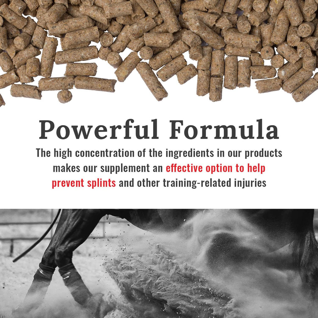 Joint Horse Supplements, Equine Pelleted Supplement, All Natural Joint Care Supplement for Horses, 10 lbs