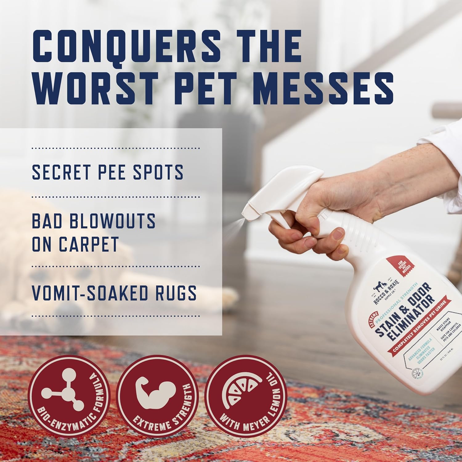 Rocco & Roxie Extreme Stain & Odor Eliminator for Strong Odor, Pet Urine Enzyme Cleaner Destroyer, Stain Remover, Dog