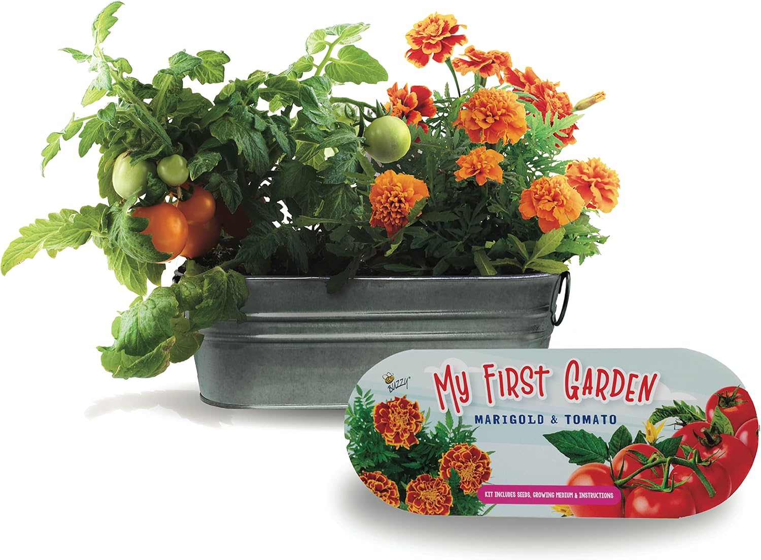 Seeds My First Garden Windowsill Grow Kit, Tomato and Marigold Seeds, Indoor Gardening Starter Set for Beginners, Fun