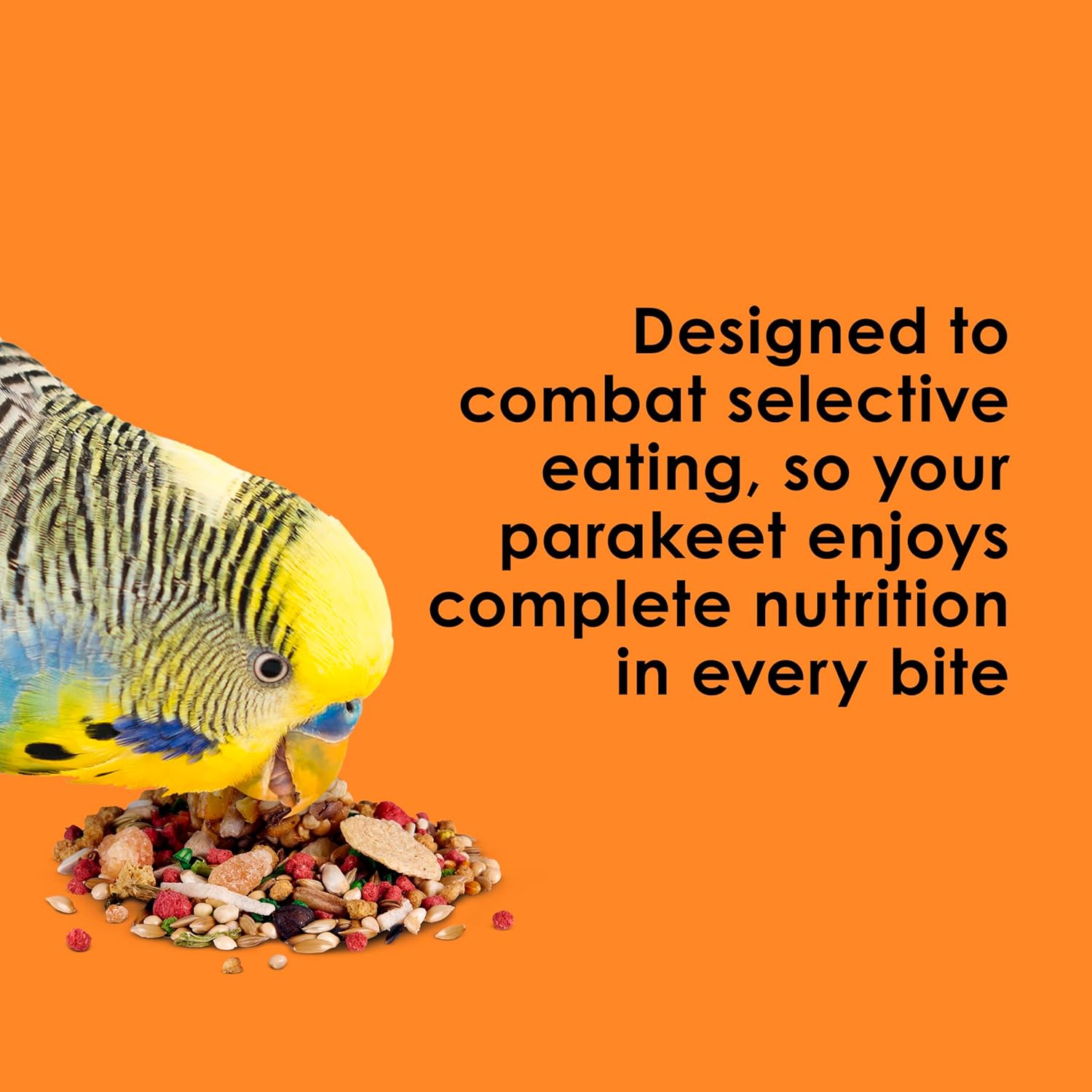 Fiesta Parakeet Food, Nutritious and Fun Blend, 2 Pounds | More foraging fun. Small bird food with shapes and