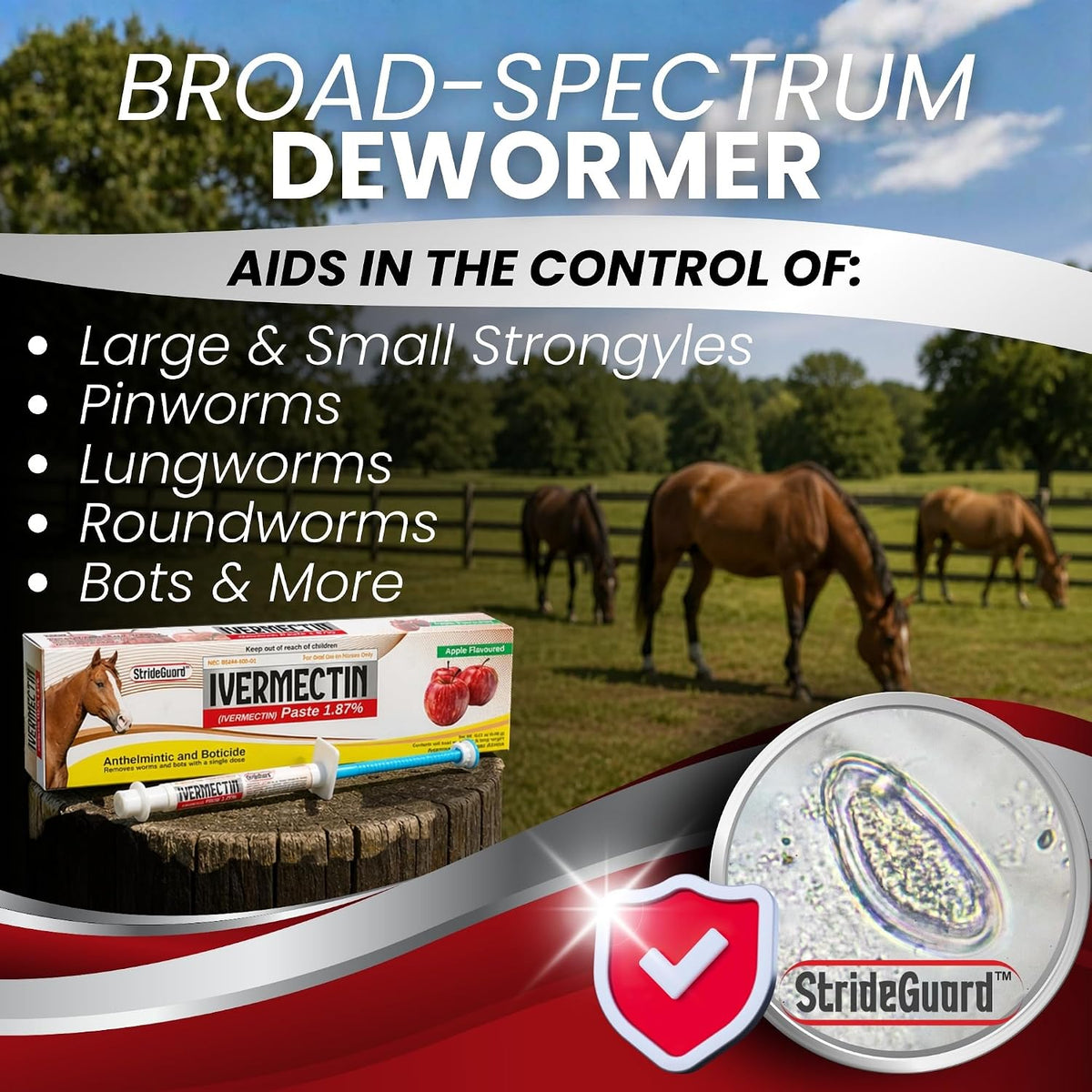 Horse Ivermectin Paste 1.87% – Apple Flavored Oral Horse Dewormer Syringe – 6.08g Tube Treats Horses Up to 1,250 lbs