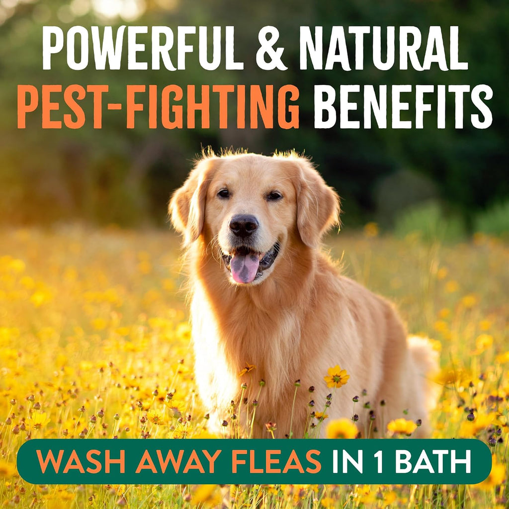Flea and Tick Shampoo for Dogs, Max Strength Formula, 20oz
