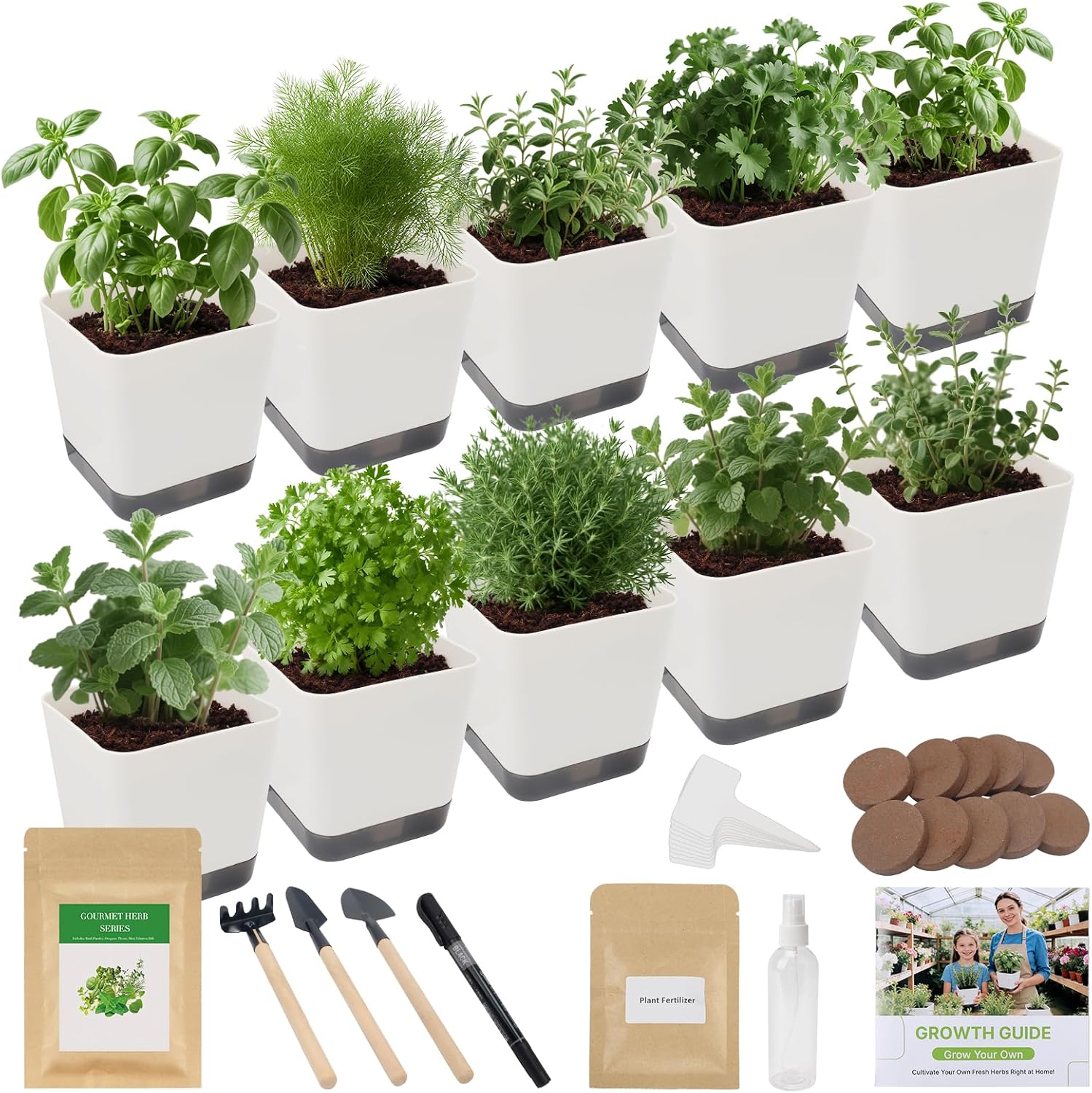 10-Set Indoor Herb Garden Starter Kit, 7 Seeds Growing into Basil, Parsley, Thyme, Mint, Cilantro, Dill, Oregano