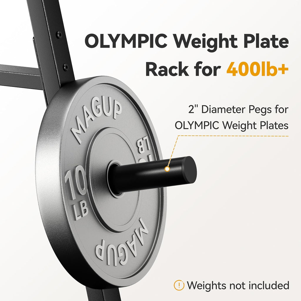 Weight Plate Rack 400LBs, Weight Tree Holder for Home Gym, Barbell & Bumper