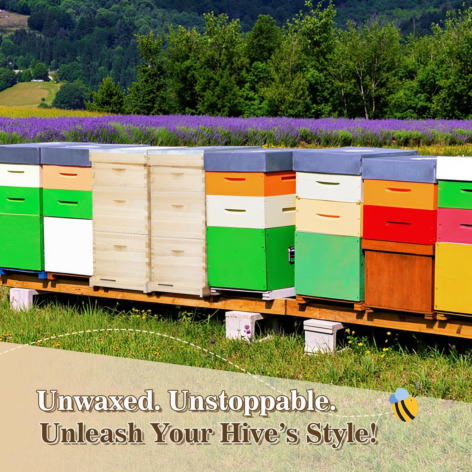 10 Frame Langstroth Bee Hive, Beehive Starter Kit for Beginners with Beehive Frames and Waxed Foundation (1 Deep Box