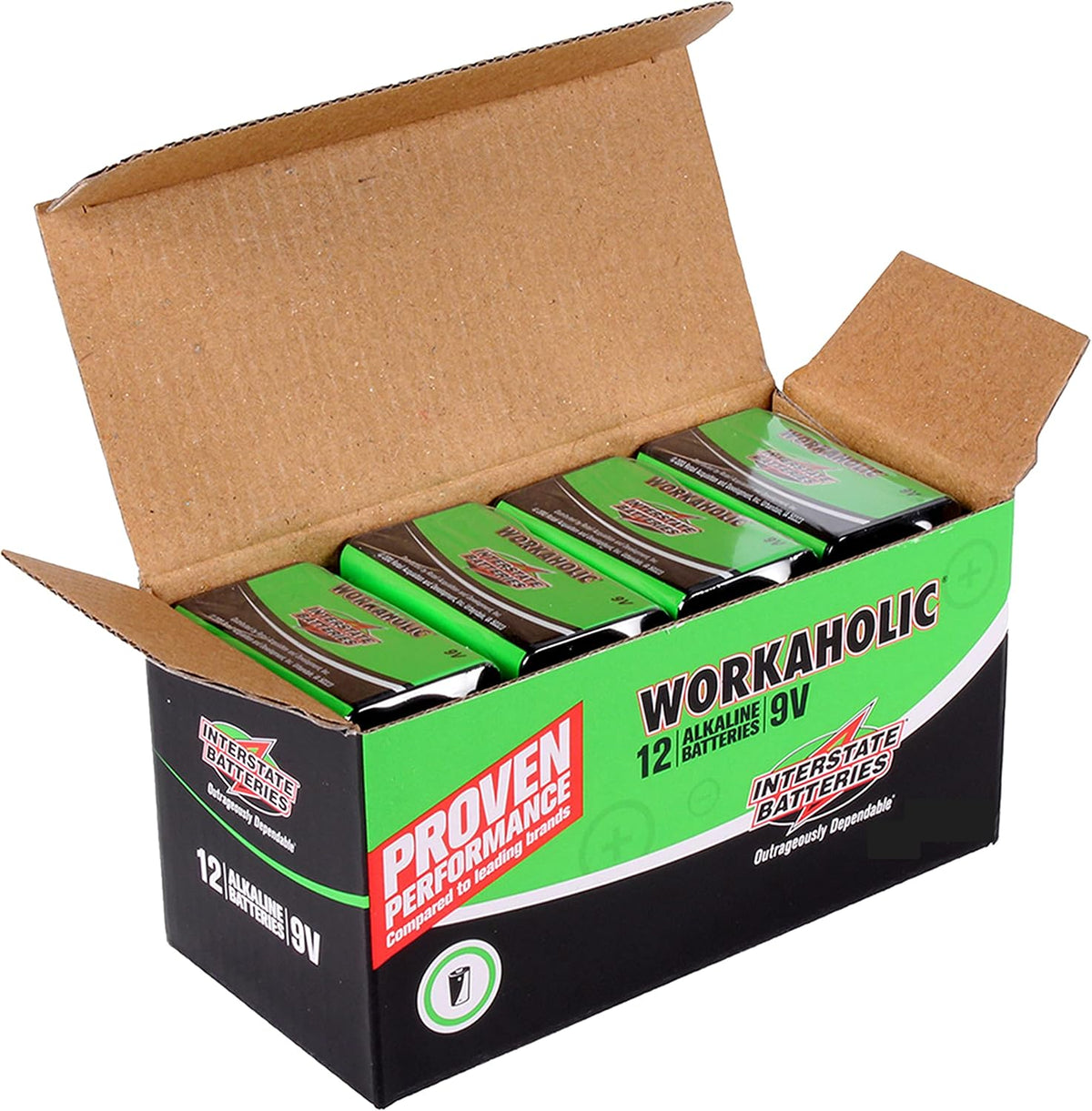 9 Volt Alkaline Batteries (12-Pack) 9V
