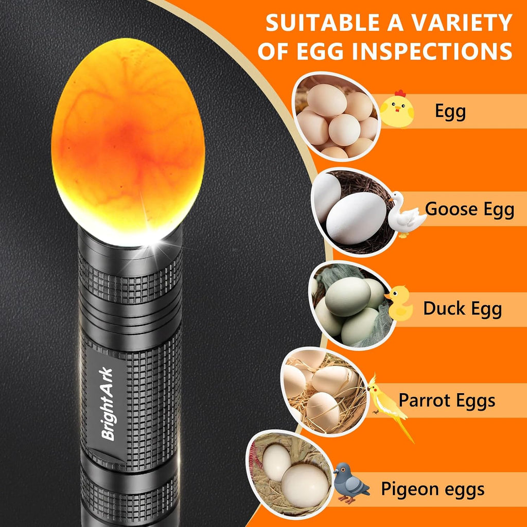 Egg Candler for Chicken Eggs, Rechargeable Bright Cool Light Egg Candler Tester for Chicken Duck Eggs, Handheld Egg