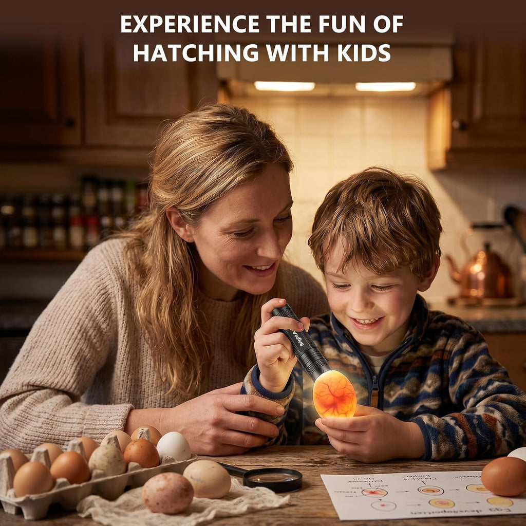 Egg Candler for Chicken Eggs, Rechargeable Bright Cool Light Egg Candler Tester for Chicken Duck Eggs, Handheld Egg