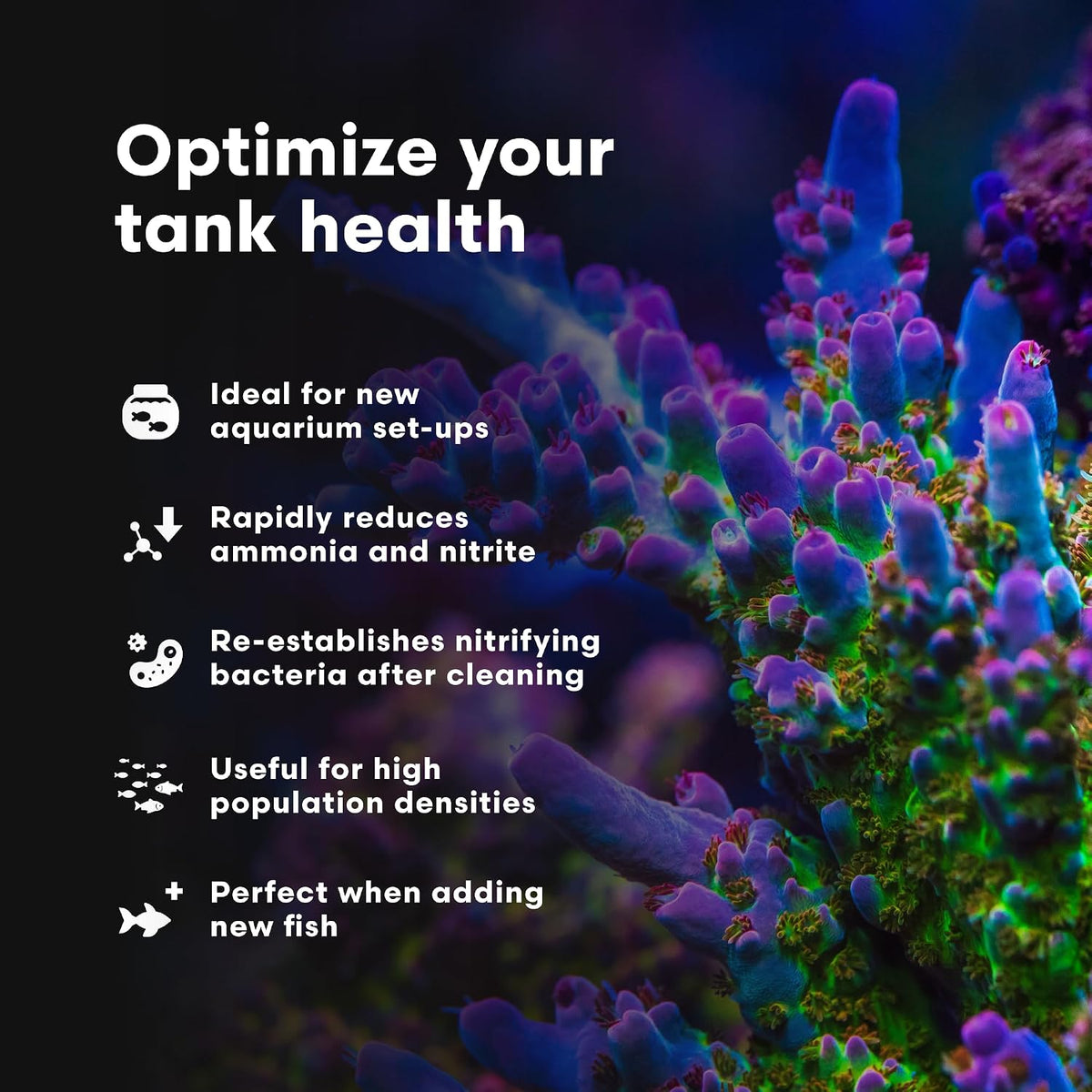 MicroBacter Start XLM - Concentrated Saltwater Nitrifying Bacteria - Quick Start Fish Tank Starter, Lift Microbe