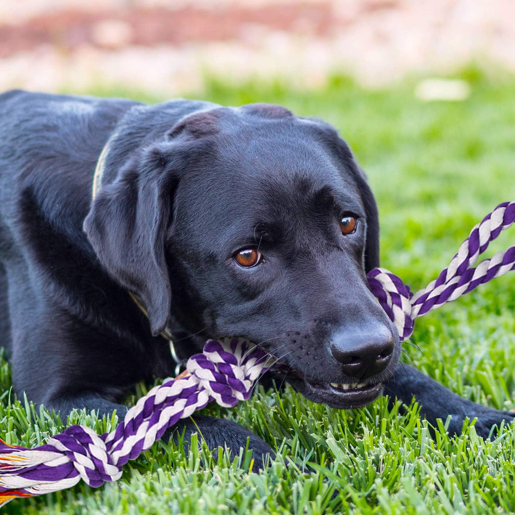 Large Tough Chew Toys for Aggressive Chewers Large Breed,Heavy Duty Dental Rope Toys Kit for Medium Dogs,5 Knots