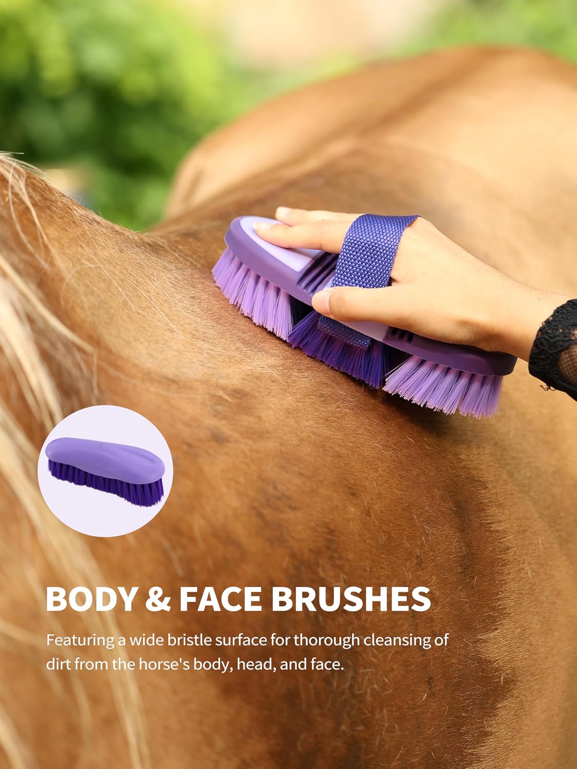 Horse Grooming Kit 9 Piece with Tote Bag, Grooming Supplies