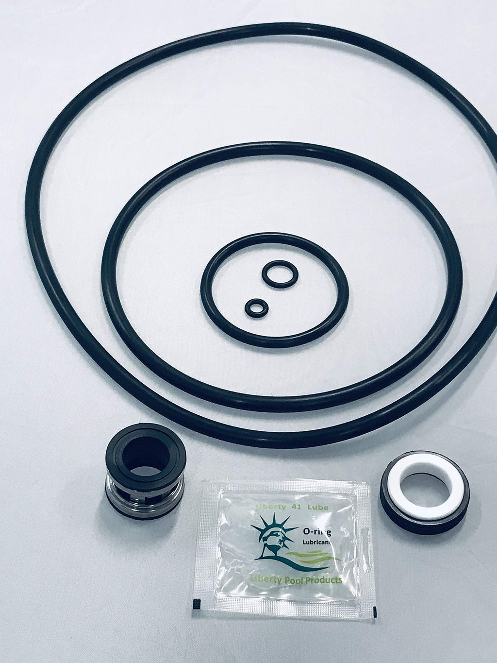 Liberty Pool Products Sta-Rite Max-E-Pro Repair Kit