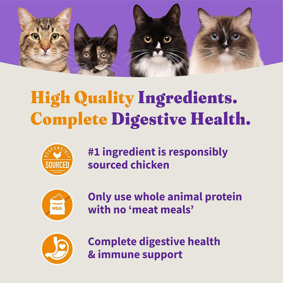 Holistic Indoor Dry Cat Food, Cage-Free Chicken Recipe, 3 lb