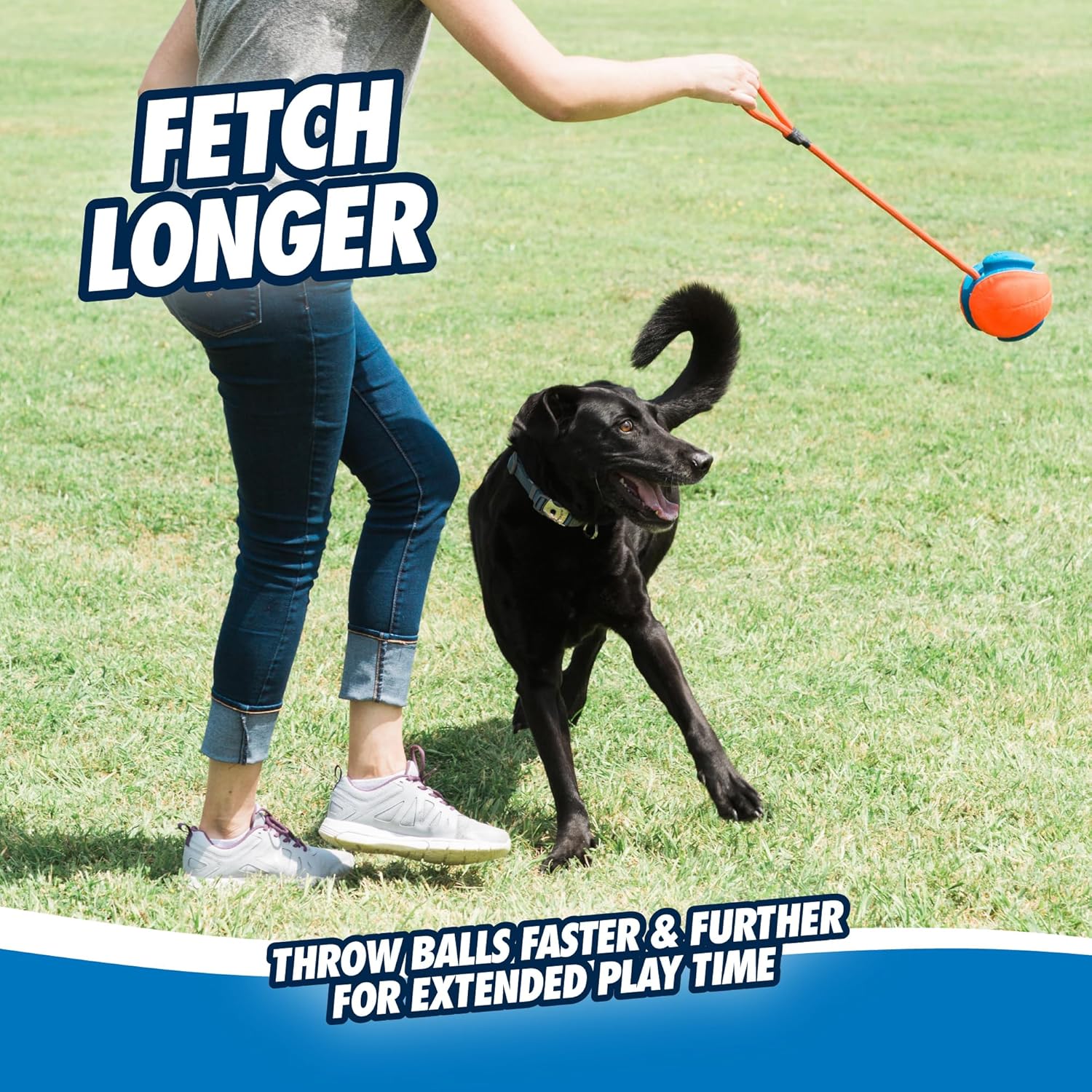 Rope Fetch Dog Toy - Ball on Rope Fetch and Tug-of-War Toy for Dogs - Durable EVA Rubber Construction - 5.5-inch
