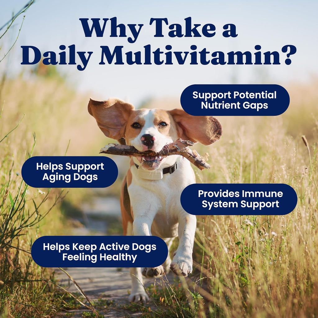 Dog Vitamins, Multivitamin Chews for Immune & Skin, 120ct