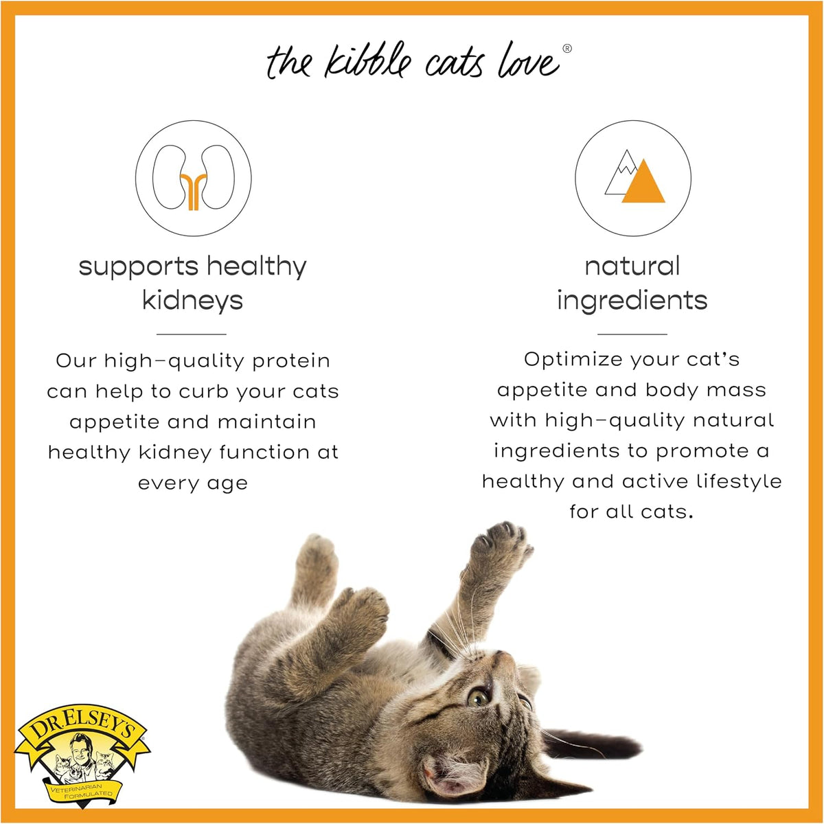 cleanprotein Turkey Cat Kibble 2 lb. Bag