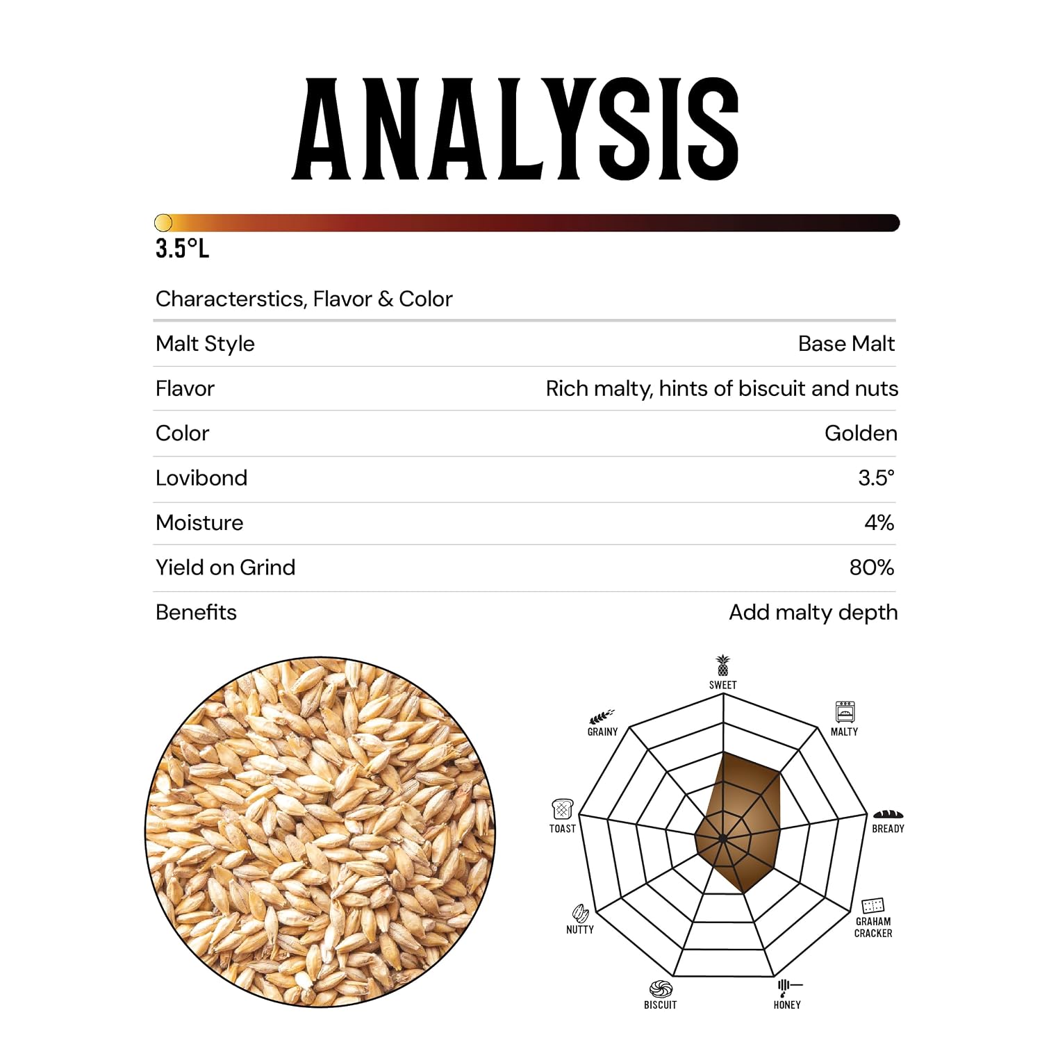 Briess Pale Ale Malt Whole Grain | Unmilled Base Malt for Home Brewing | Rich Malt Flavor for Ales | Brewing Grain |