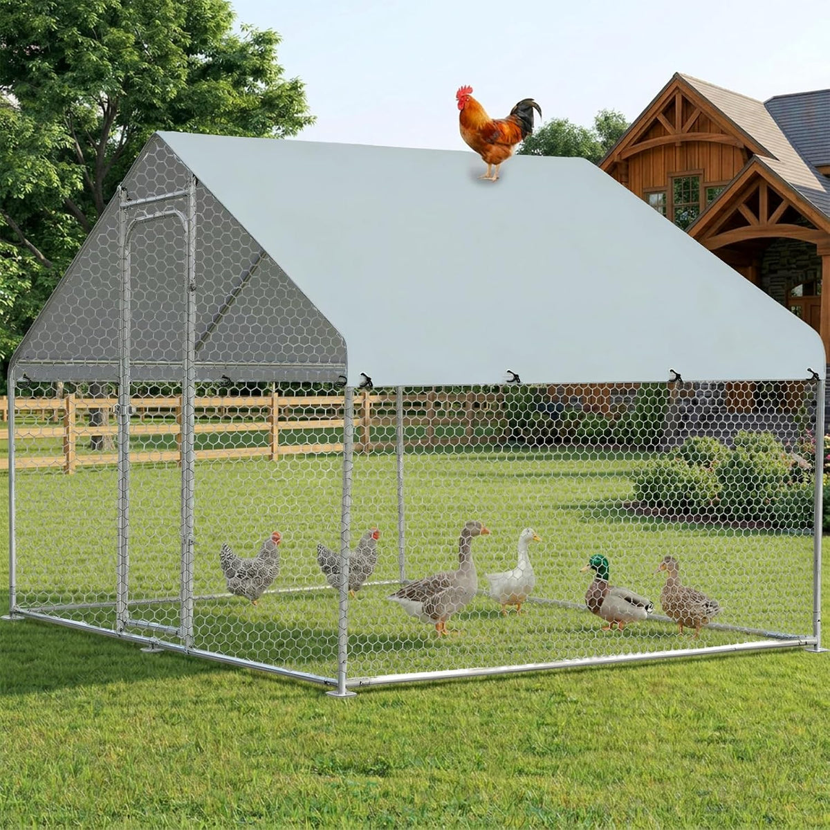 Small Metal Chicken Coop Run Walk-in 4.9'x9.8'x6.4' Duck House