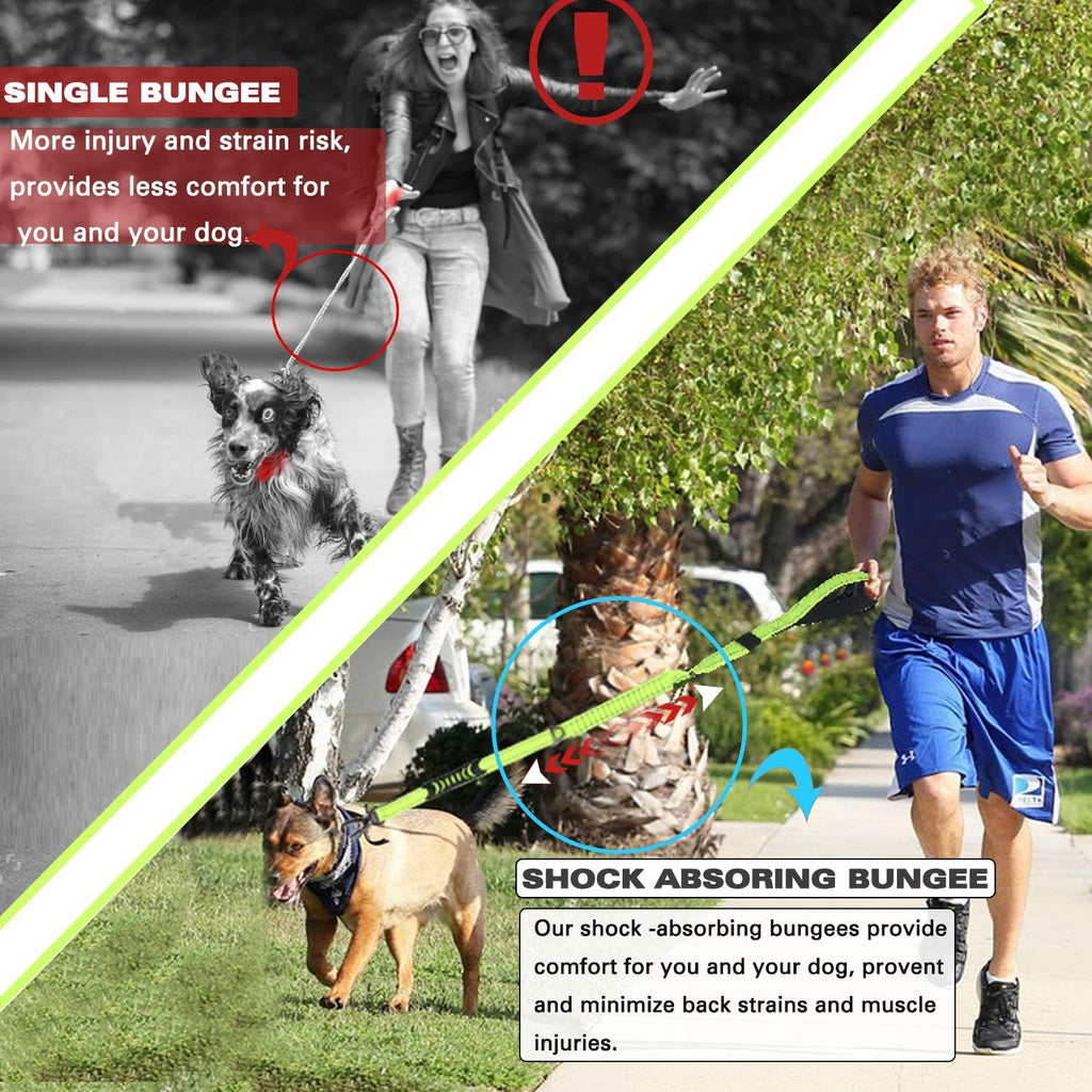 Heavy Duty Bungee Dog Leash with Locking Carabiner for Large Dogs