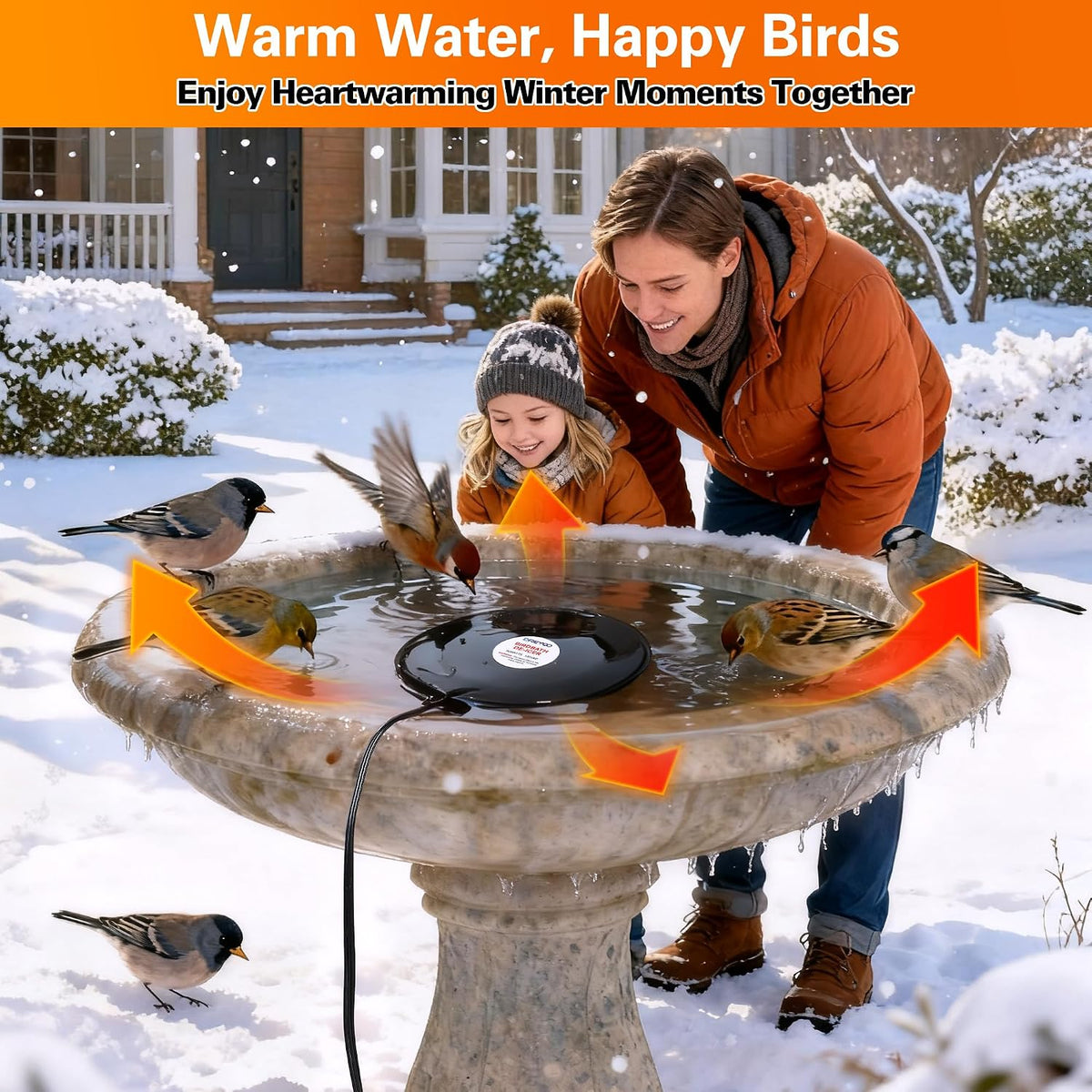Bird Bath De Icer, 60w Submergible De Icer, Thermostatic Controlled Winter Water Heater Deicer for Bird, Chicken