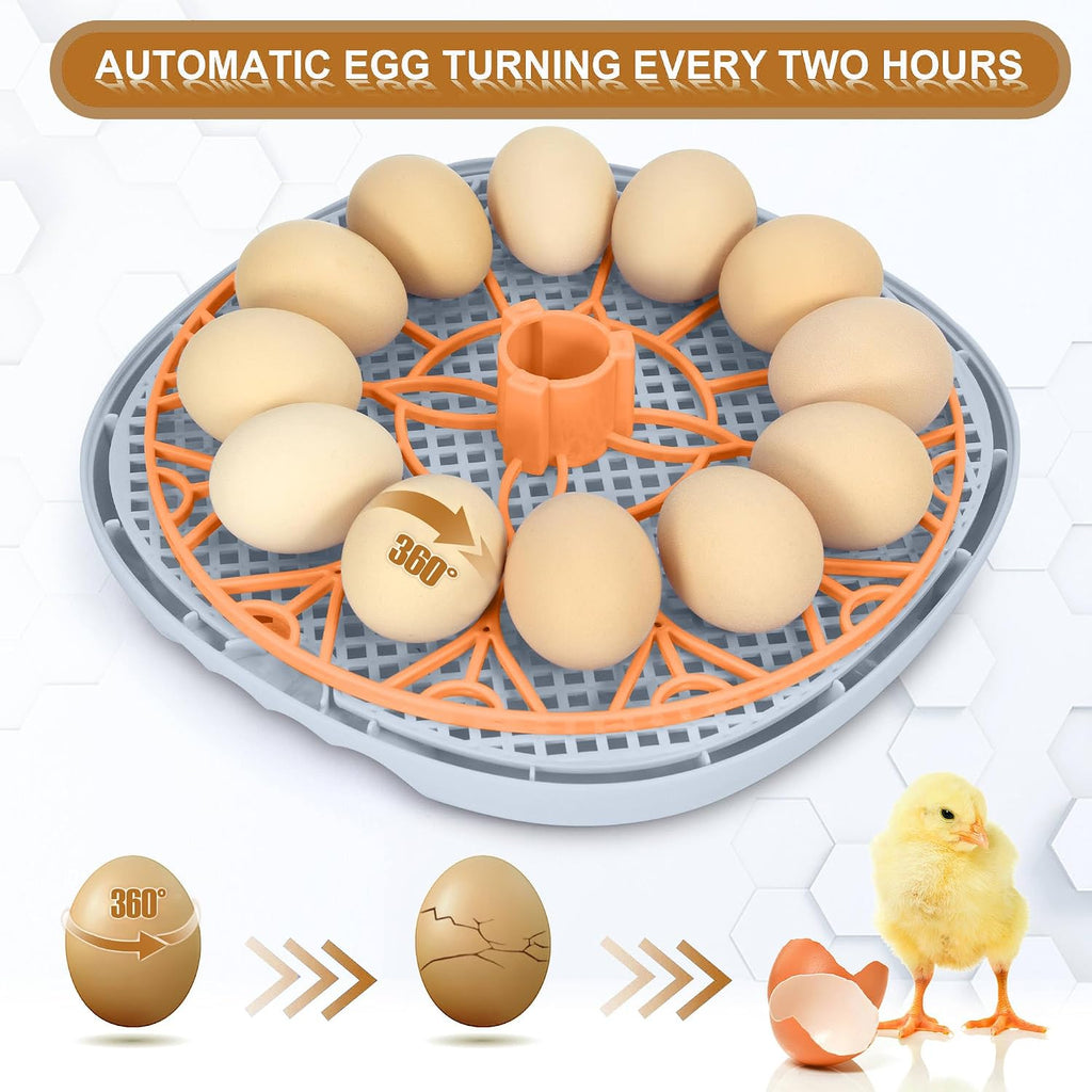 Smart Chicken Incubators for Hatching Eggs with Automatic Turner Small Poultry Duck Quail 12 Egg Incubator