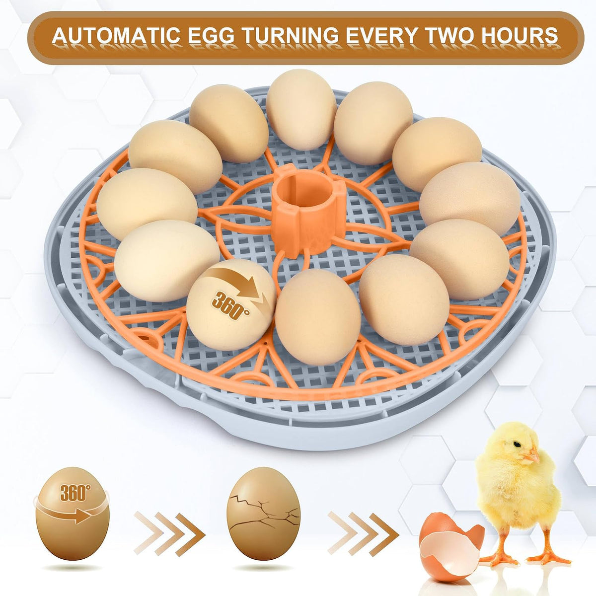 Smart Chicken Incubators for Hatching Eggs with Automatic Turner Small Poultry Duck Quail 12 Egg Incubator