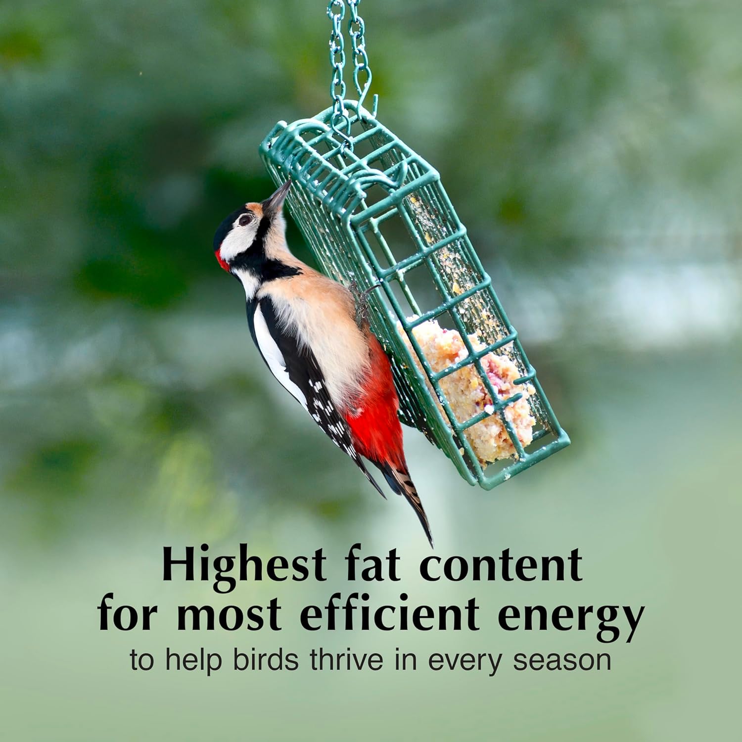 Party Mix Suet Treat, Suet Cakes for Wild Birds, Pack of 8 | Suet cakes for woodpeckers, made with real party mix