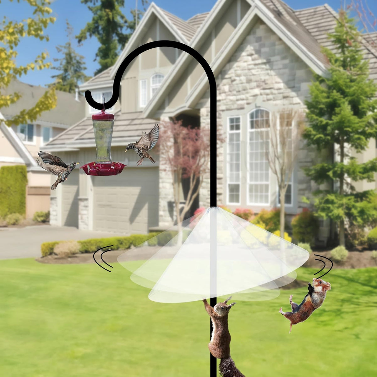 Squirrel Baffle for Bird Feeder Pole - 19 Inch for Shepherd’s Hook, Squirrel Proof Cone (1 Pack, Semi-Transparent)