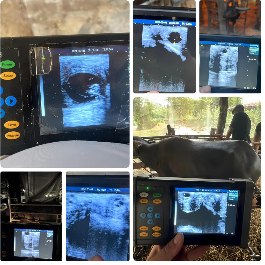 A20 Veterinary Ultrasound Machine for Pregnancy, Handheld Ultrasound Scanner with 6.5 MHz Rectal Linear Probe for