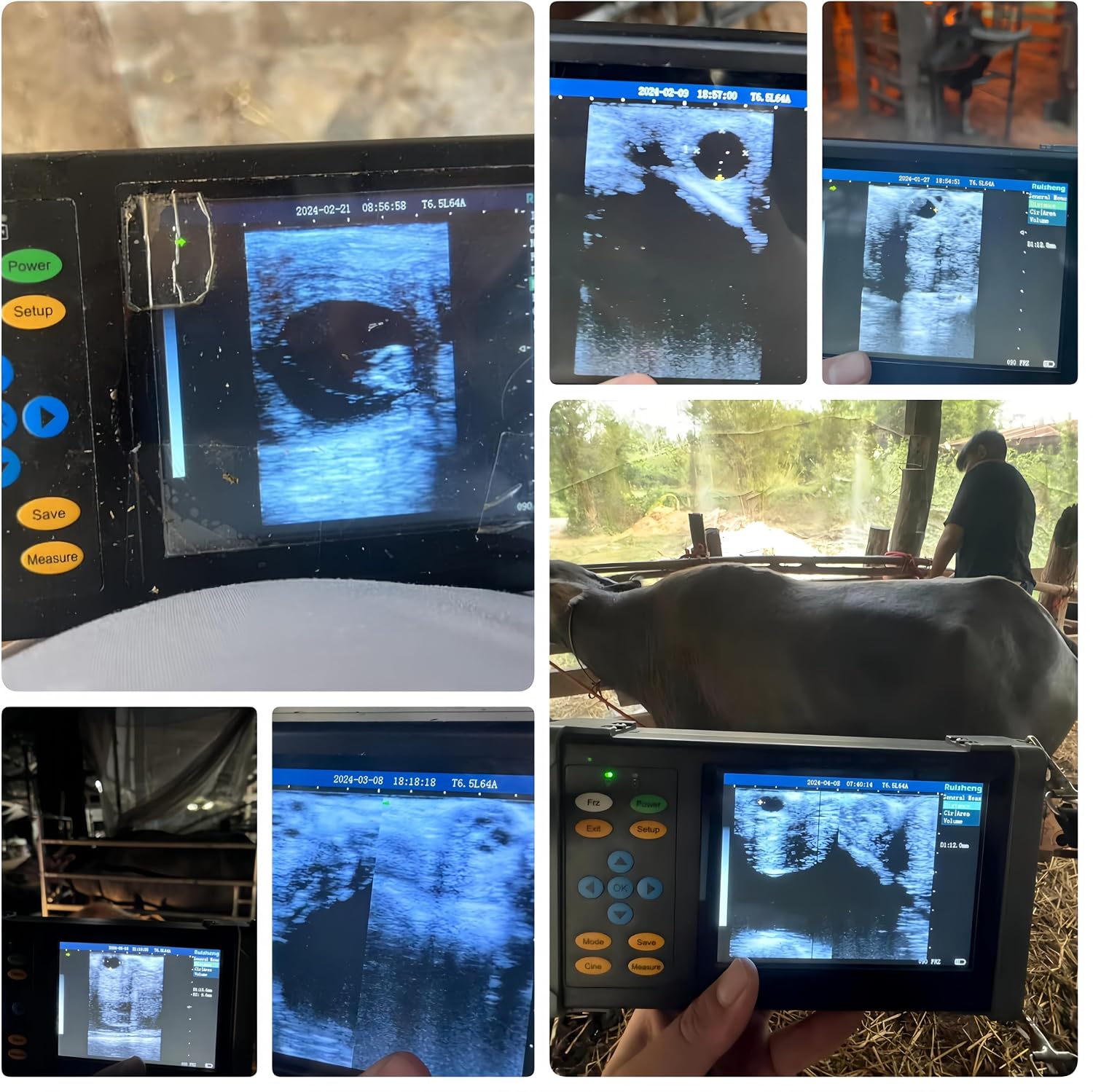 A20 Veterinary Ultrasound Machine for Pregnancy, Handheld Ultrasound Scanner with 6.5 MHz Rectal Linear Probe for