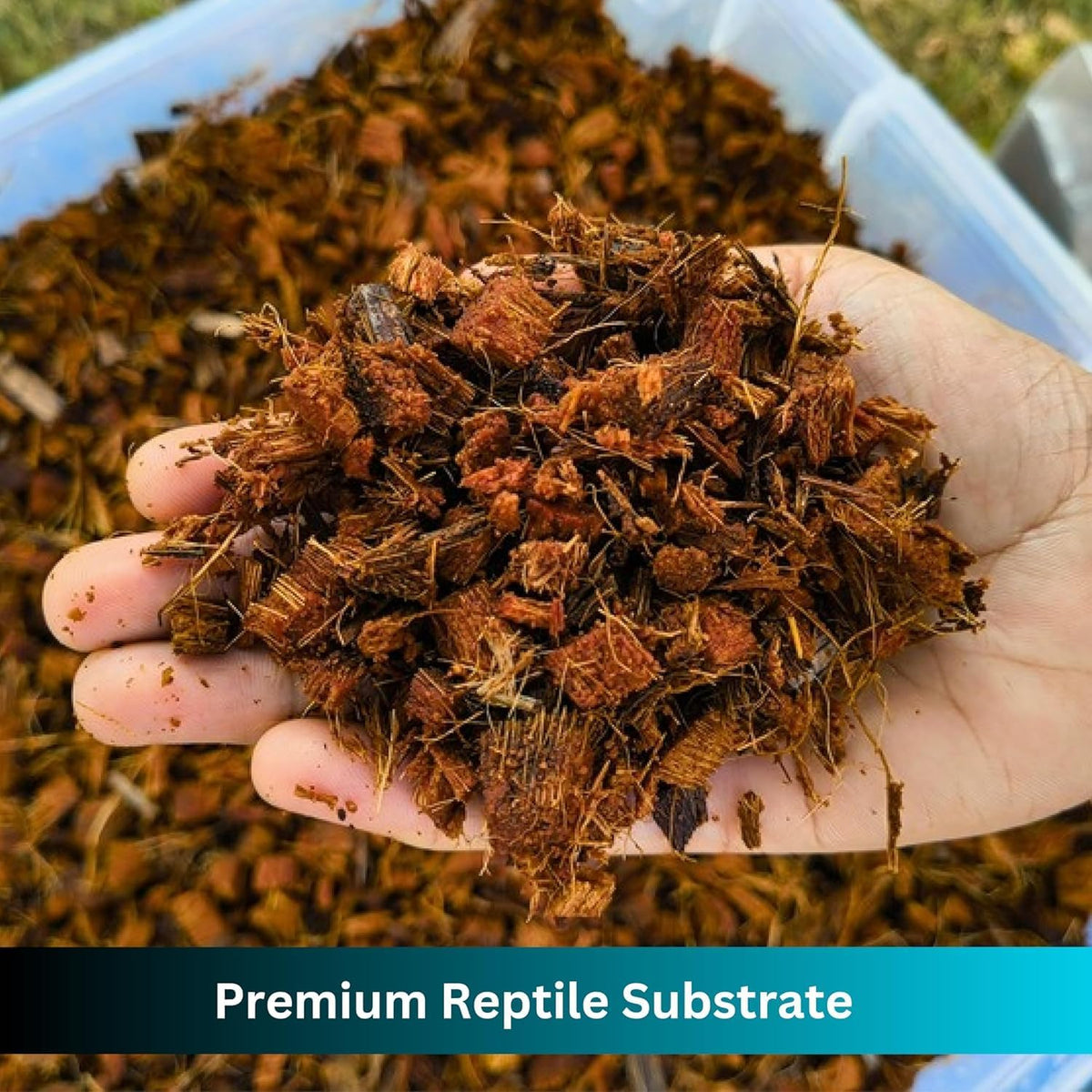 Premium Coconut Chip Substrate for Reptiles – 10 LB Block in Carton Box, Expands to 72 Quarts – Natural & Dust-Free