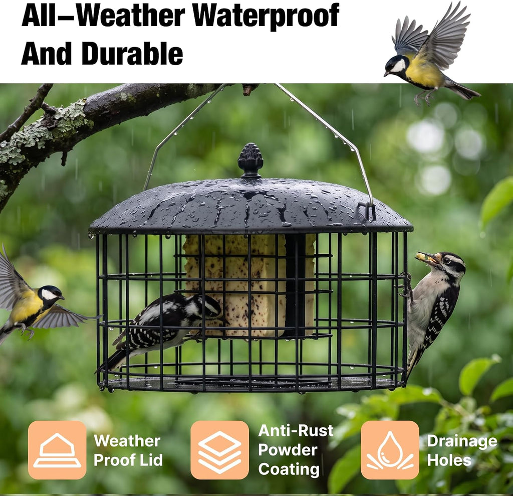 Squirrel Proof Suet Feeder for Woodpeckers, All Metal Caged Feeders