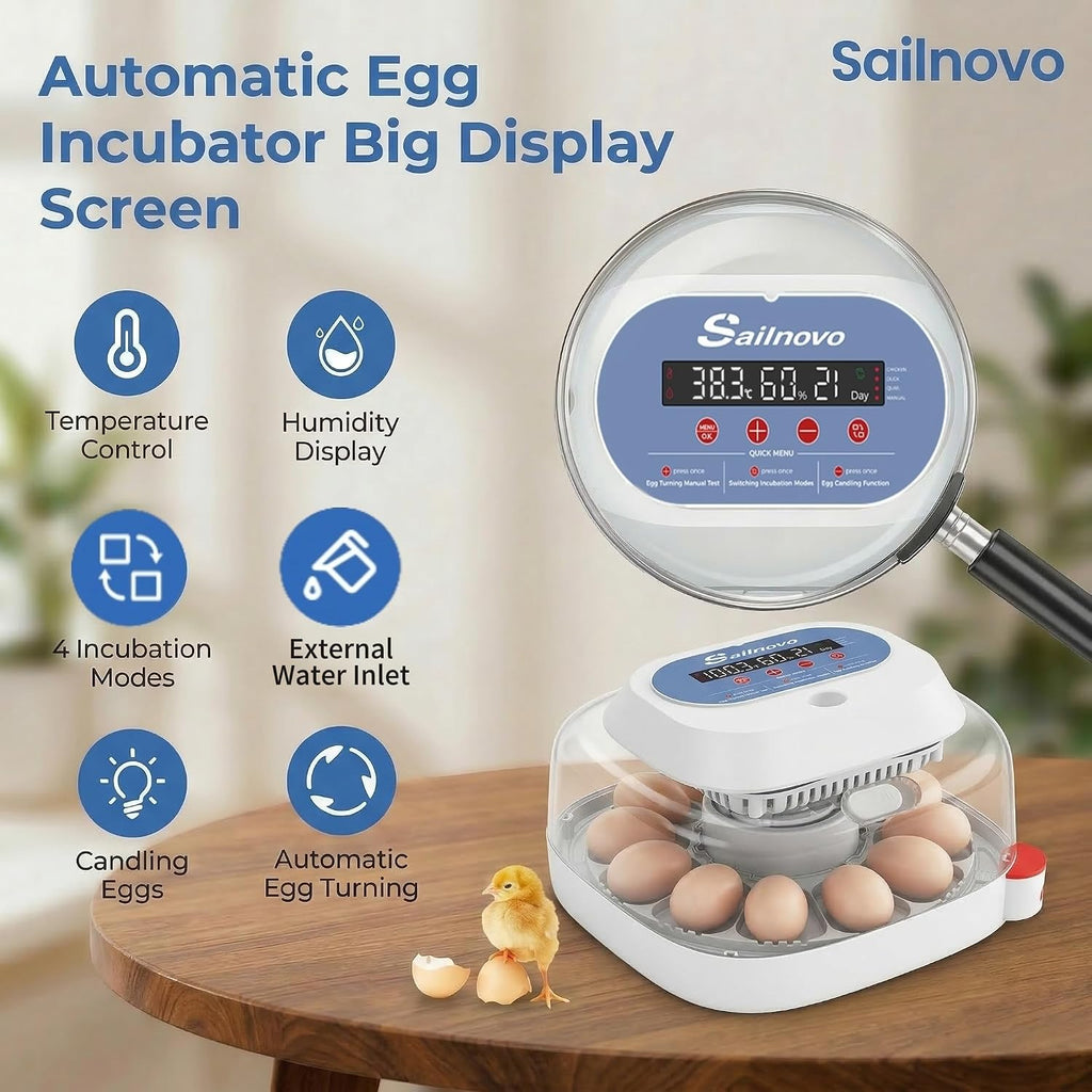 12 Eggs Incubator, 4 Modes, Temp Control & Humidity Display, Blue