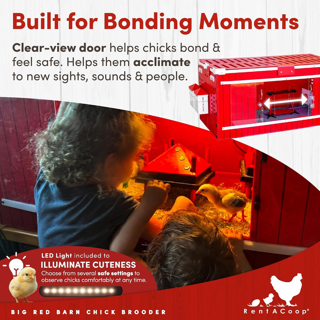 Big Red Barn Chick Brooder