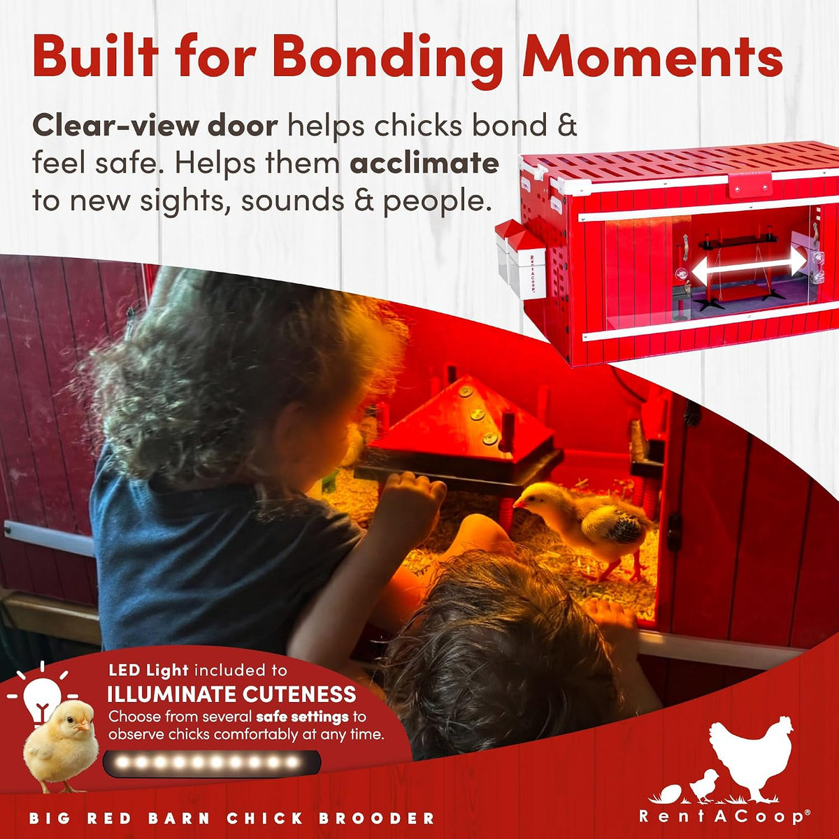 Big Red Barn Chick Brooder