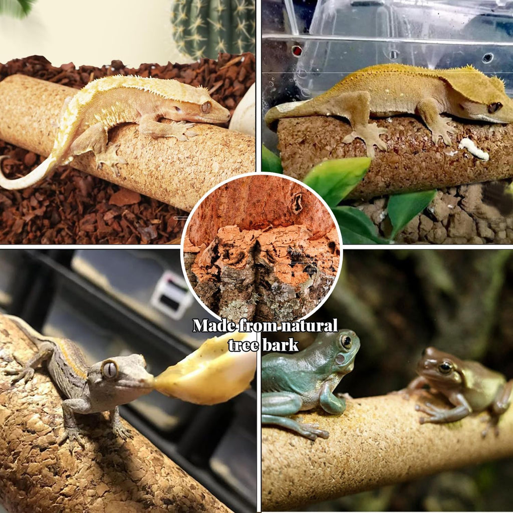 Crested Gecko Tank Accessories, Reptile Decor,Reptile Hanging Plants Vines with Coconut Shell Ladder Hideout Hermit