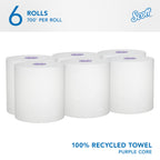 Hard Roll Paper Towels, Bulk, 6 Rolls x 700' (58423)