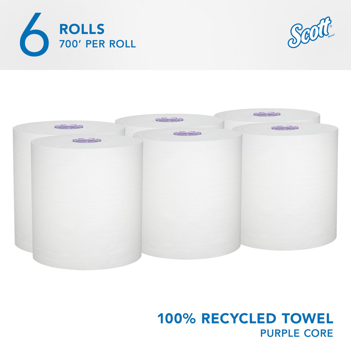 Hard Roll Paper Towels, Bulk, 6 Rolls x 700' (58423)