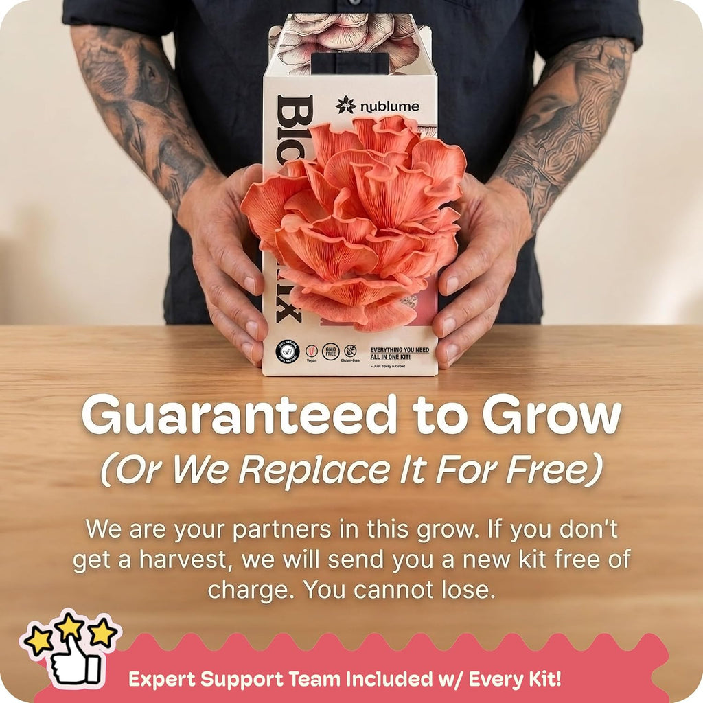 BloomBox Pink Oyster Mushroom Grow Kit – Spray & Grow – Pre-Inoculated Indoor Mushroom Farm – Beginner Friendly –