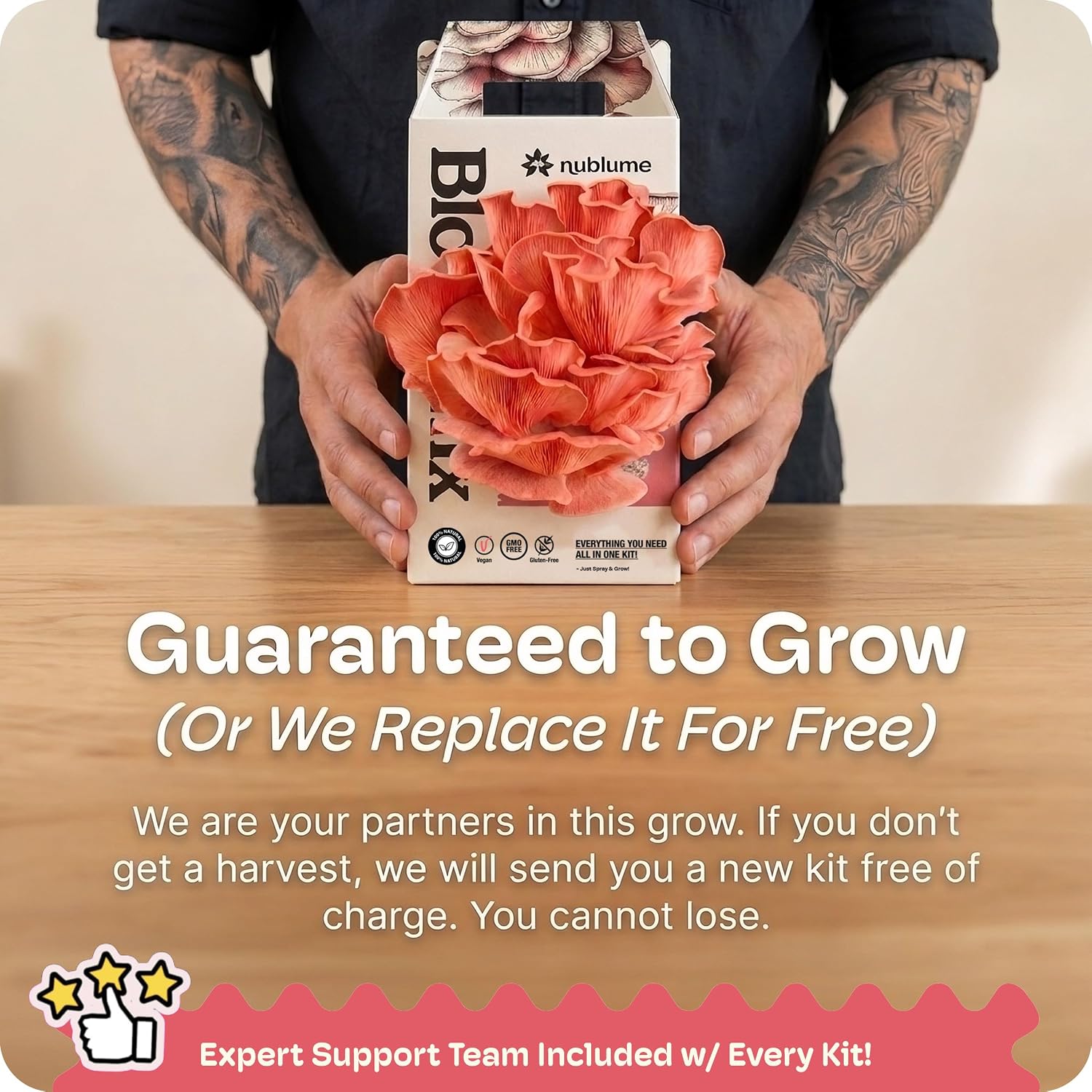 BloomBox Pink Oyster Mushroom Grow Kit – Spray & Grow – Pre-Inoculated Indoor Mushroom Farm – Beginner Friendly –