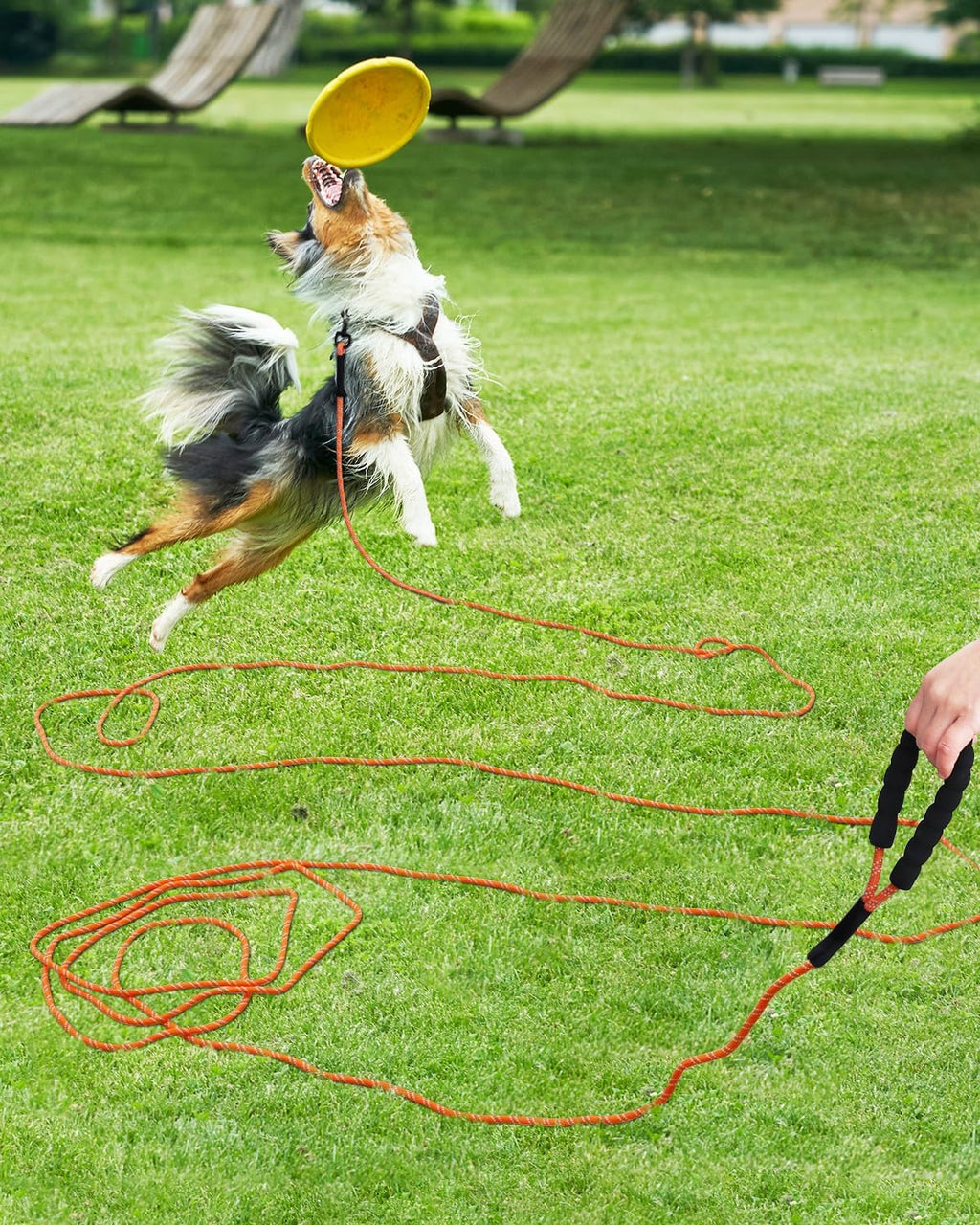 Long Dog Leash, 15FT 30FT 50FT 66FT, Training and Recall Leash with Comfortable Padded Handle for Large Medium Small