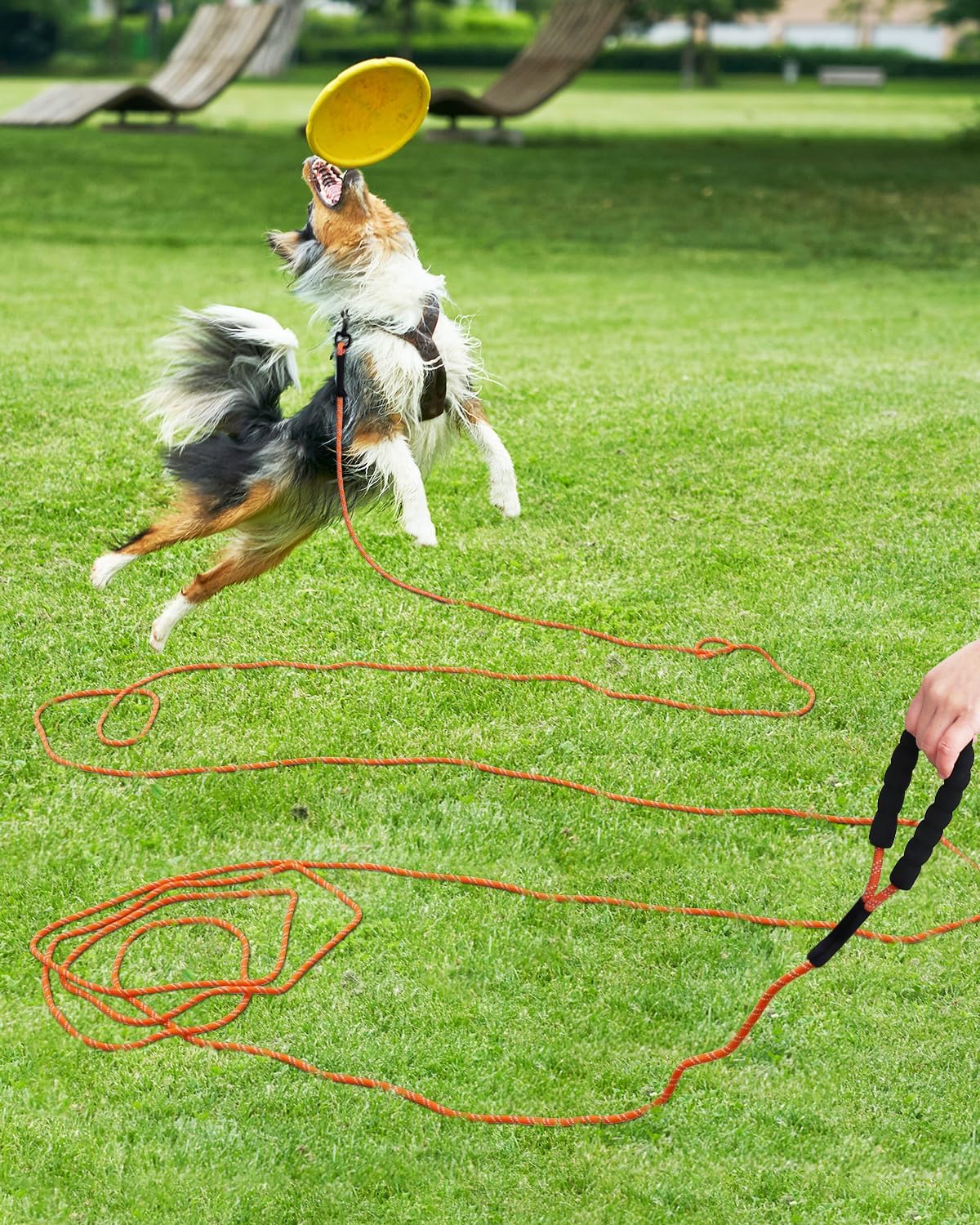 Long Dog Leash, 15FT 30FT 50FT 66FT, Training and Recall Leash with Comfortable Padded Handle for Large Medium Small