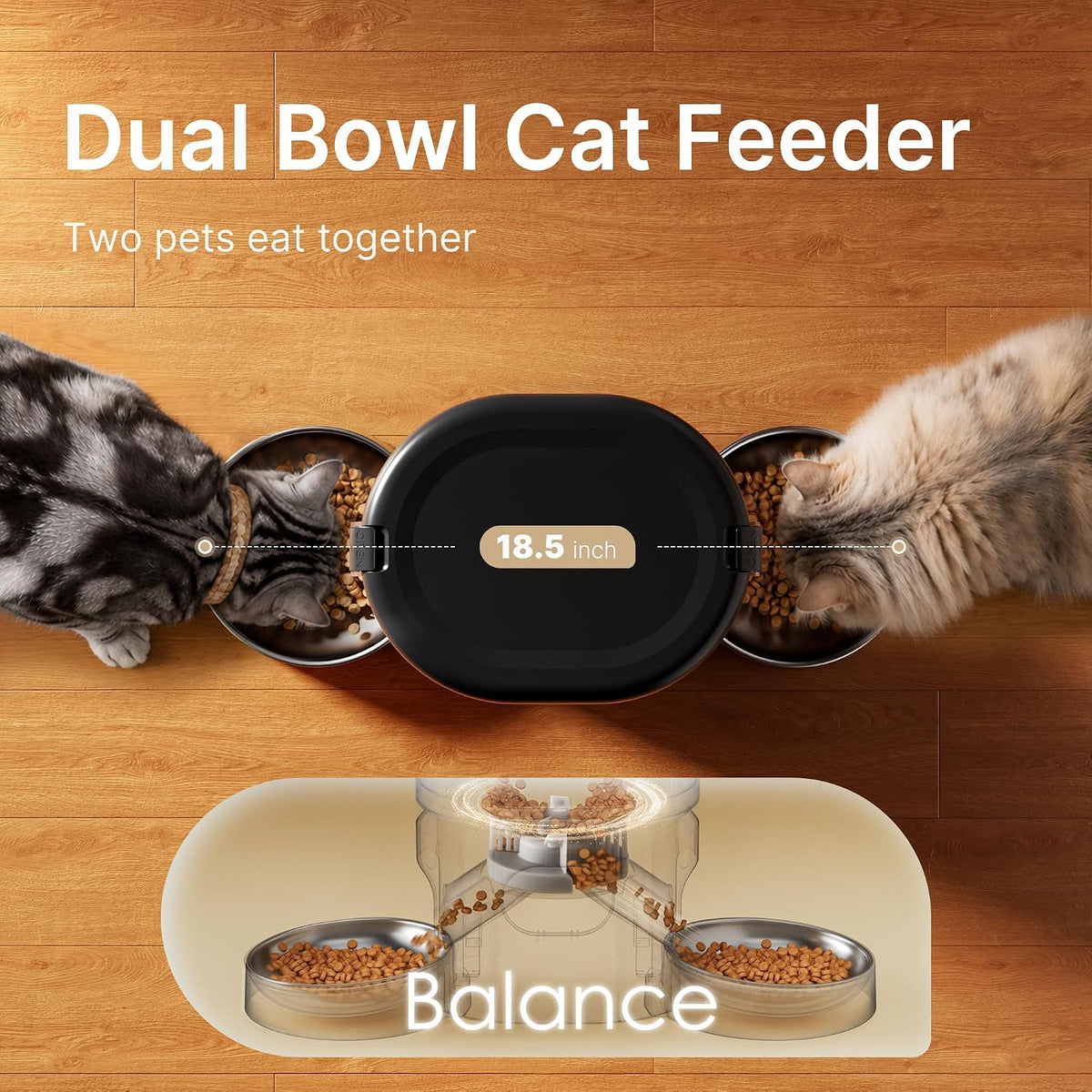 Automatic Cat Feeder for 2 Cats, Dual Cat Feeder with 5G WiFi APP