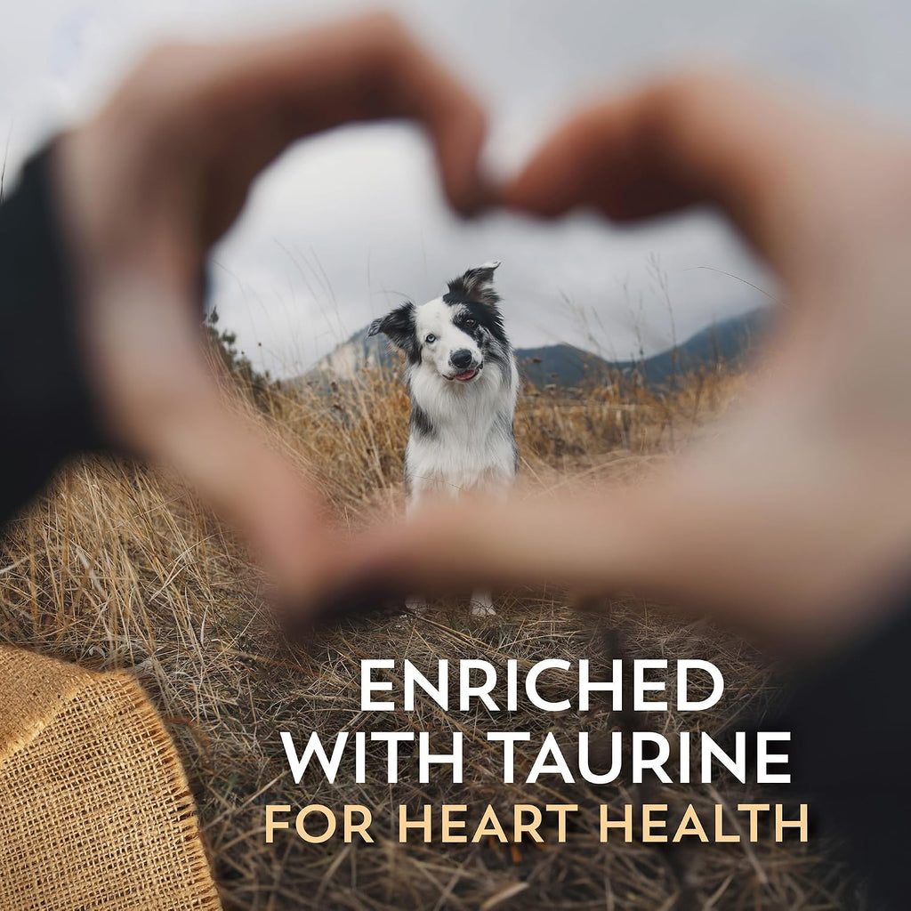 Sensitive Skin & Stomach Salmon & Rice Dry Dog Food 30 lb