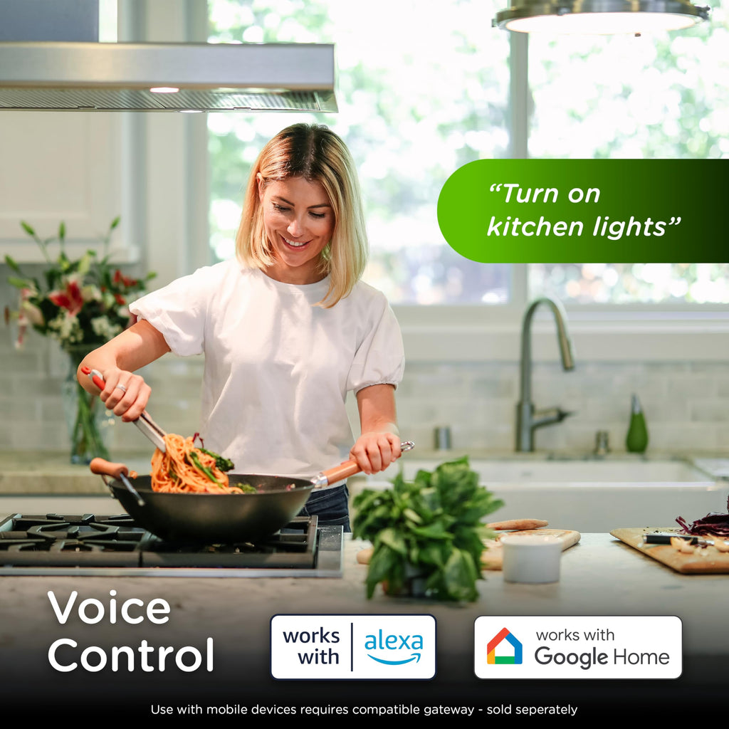 Enbrighten Z-Wave Long Range On/Off Switch, 800 Series, Toggle