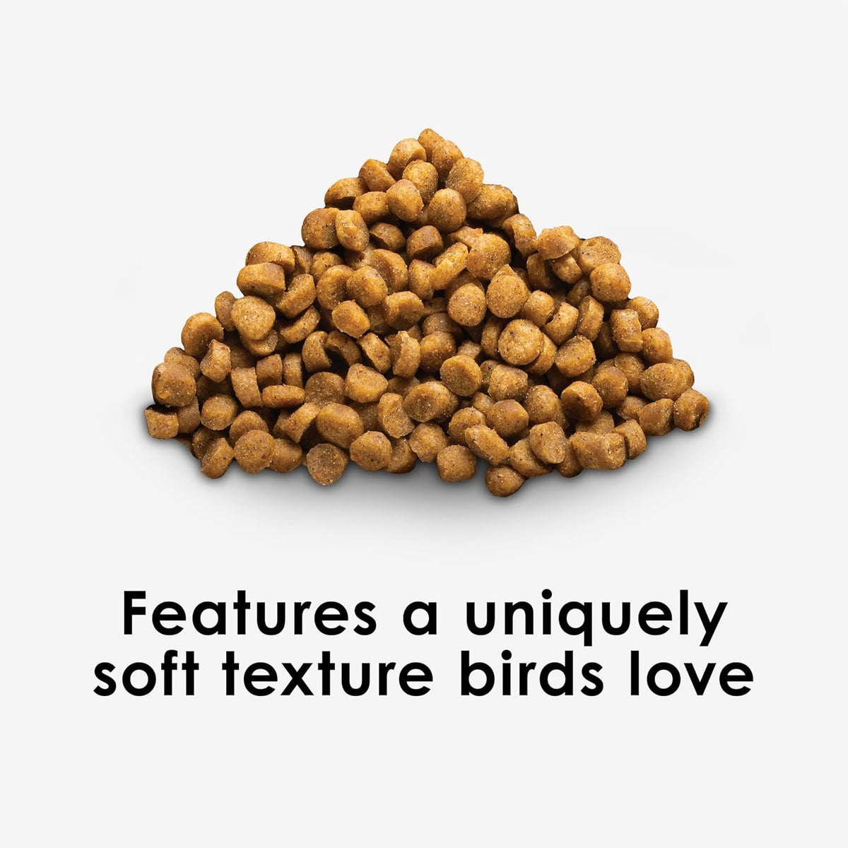 Nutri Soft Pet Parrot & Conure Bird Food, 3 Pound