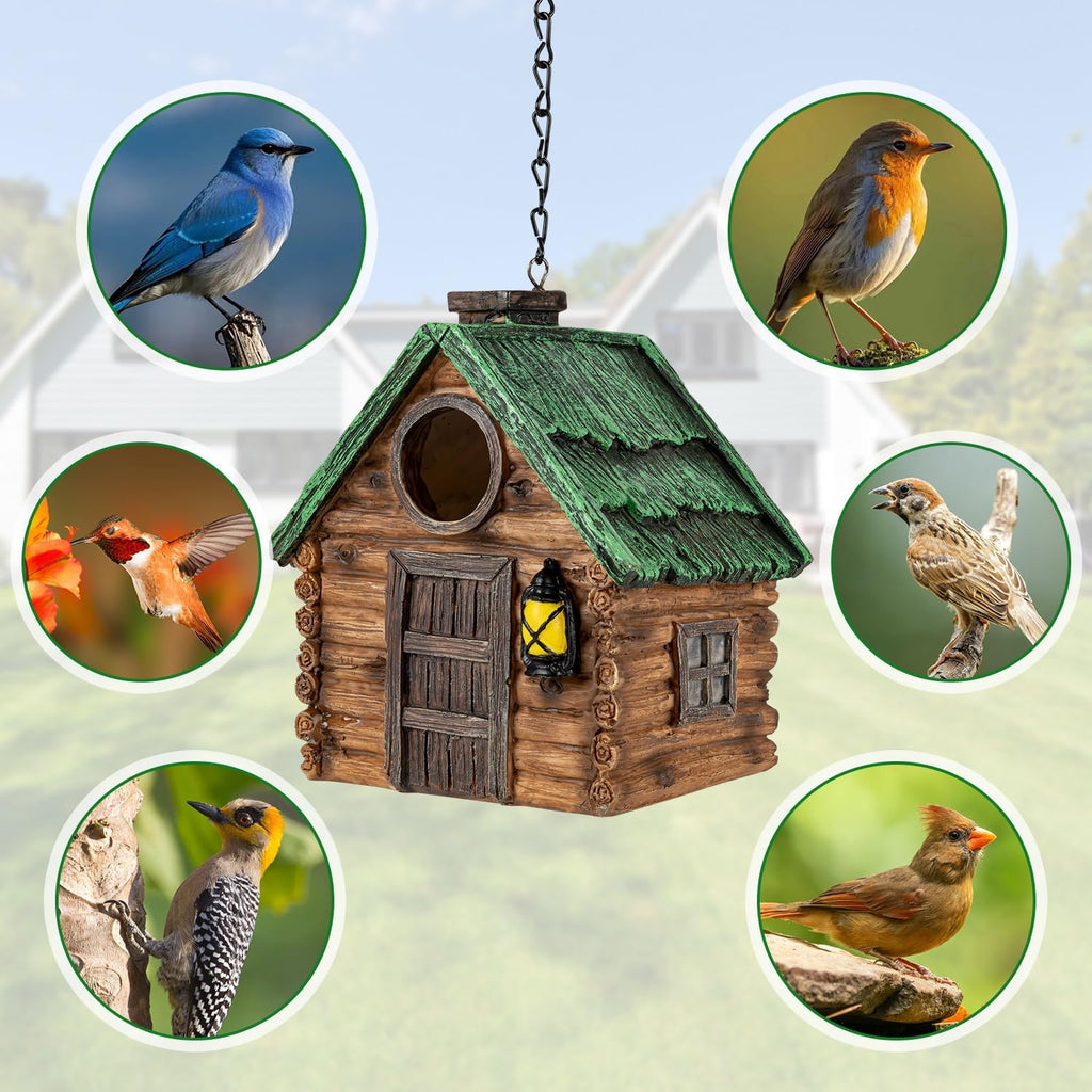 Bird House for Outside, Resin Bluebird House for Outdoors Finches, Cardinals and Yellow Finches Wild Bird Nesting, 5