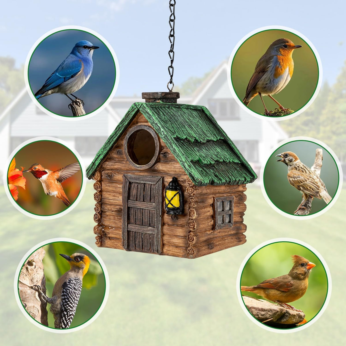 Bird House for Outside, Resin Bluebird House for Outdoors Finches, Cardinals and Yellow Finches Wild Bird Nesting, 5